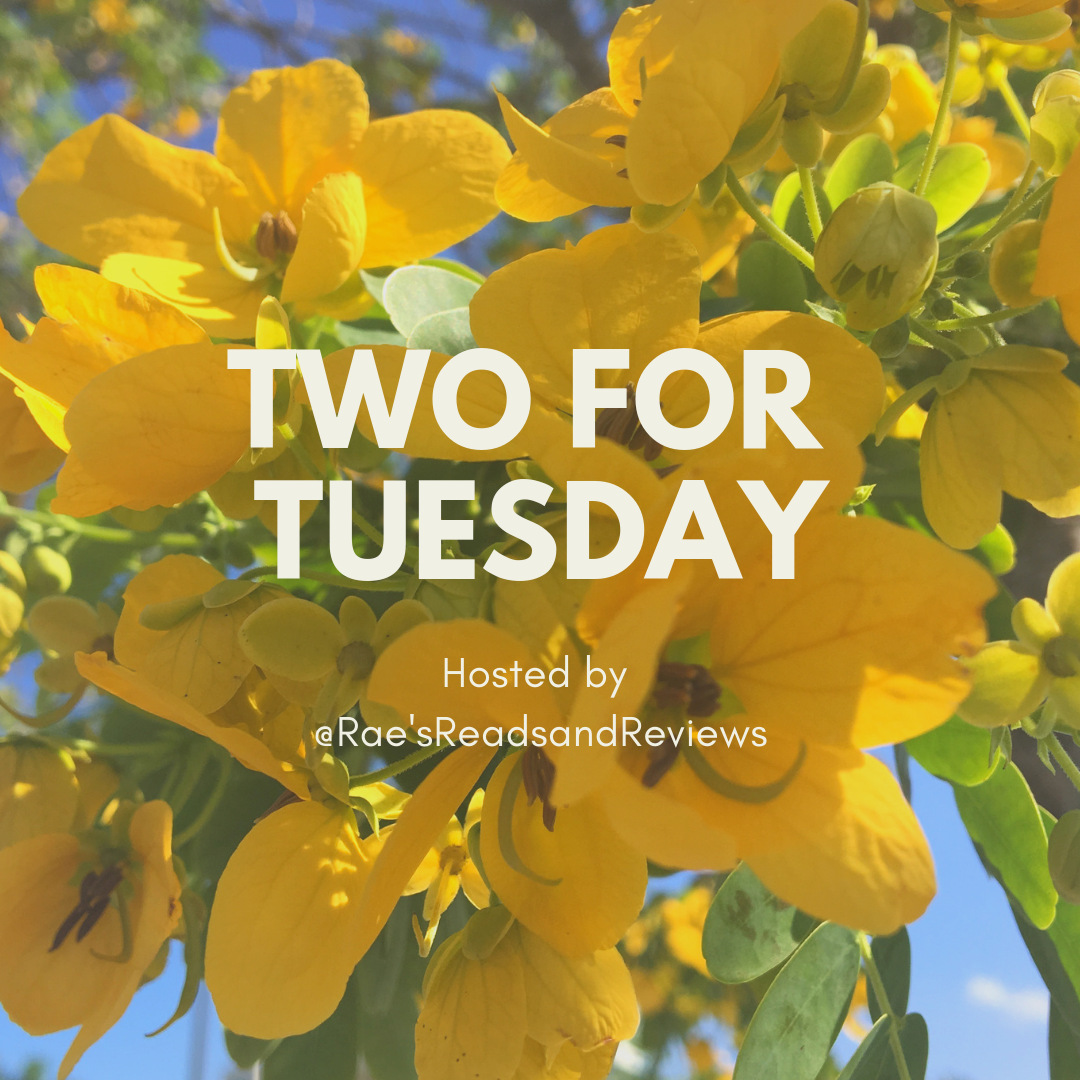 Two for Tuesday Tag by Rae's Reads and Reviews