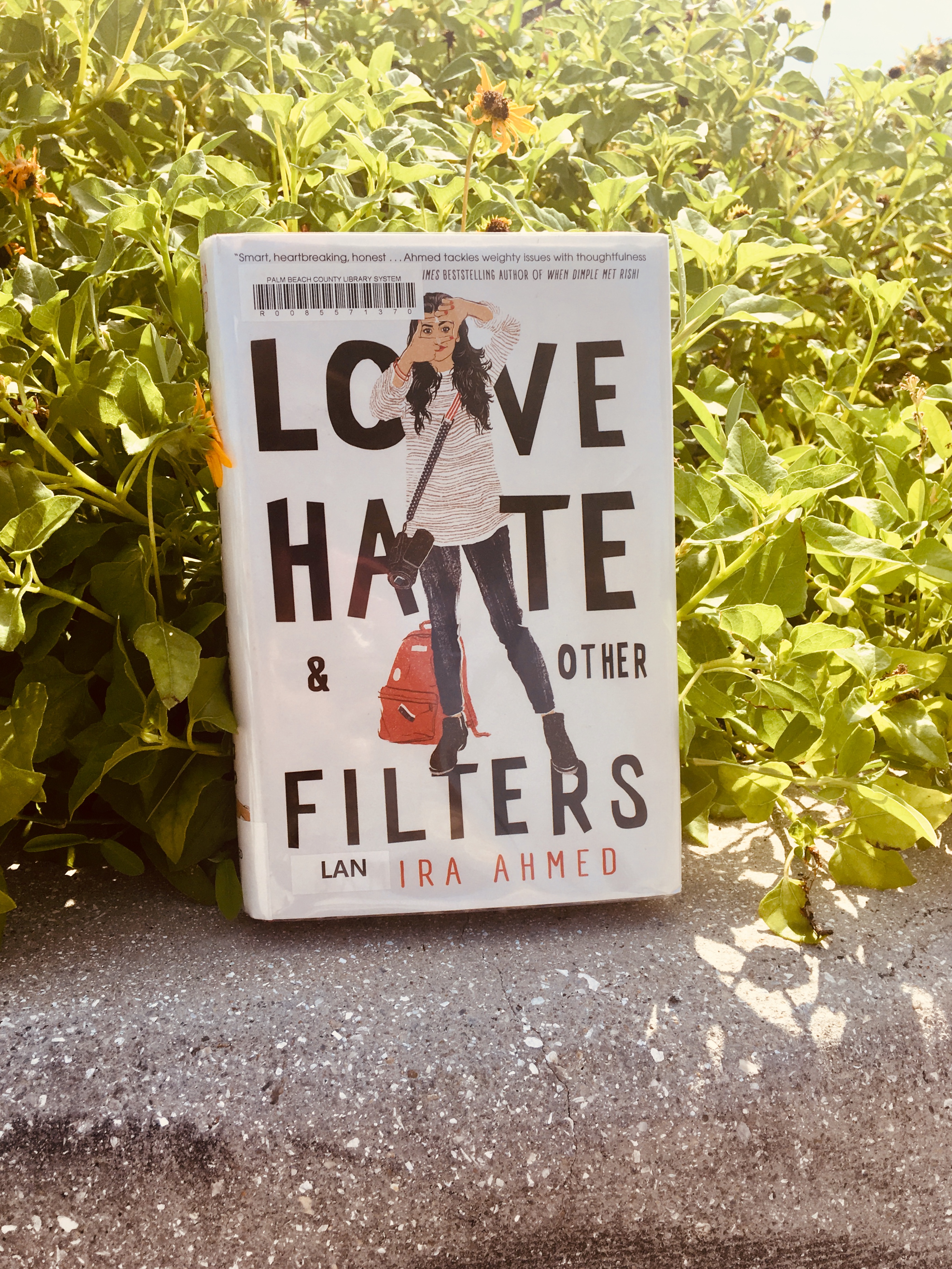 Love, Hate, & Other Filters (Book Review)